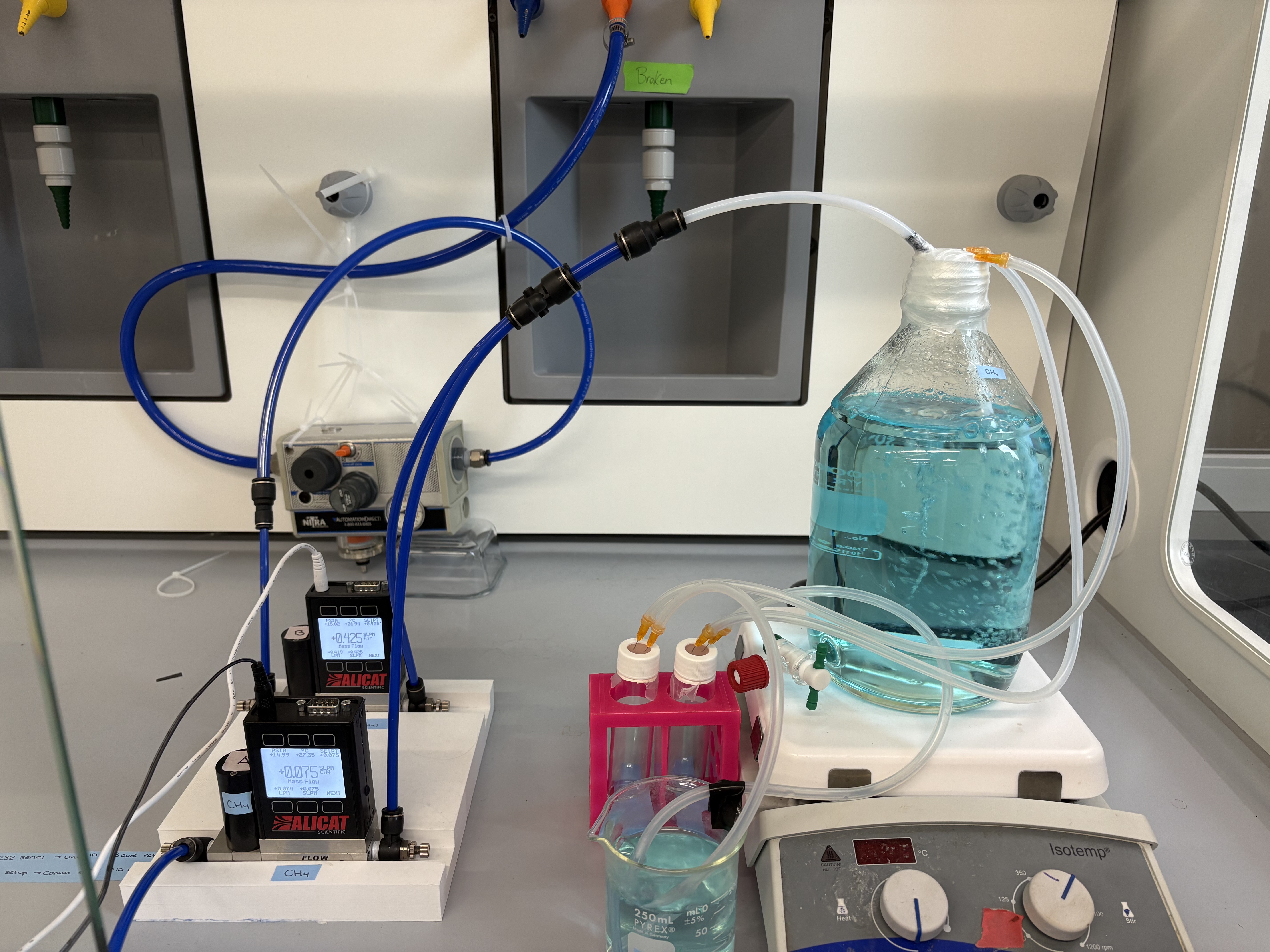 Stoichiometric producer grazer simulation