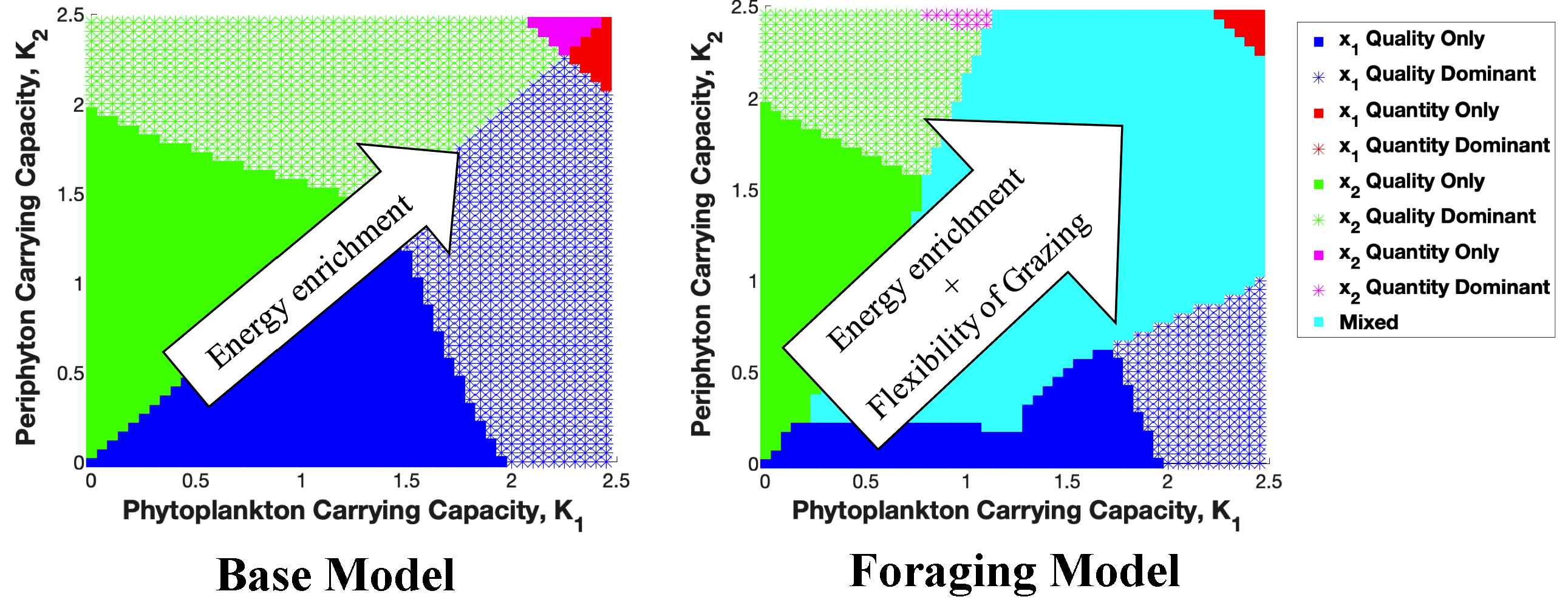 Stoichiometric producer grazer simulation